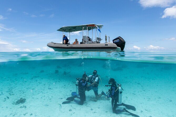 Romantic dive in the lagoon of Bora Bora. Private instructor on a shared boat - Who Is This Tour Best For?