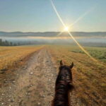 Romantic horseback riding at sunset : La Crépuscule - Who Is This Tour Best For?