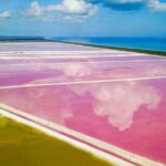 Romantic Las Coloradas Pink Lake,Cenote 1-Day Tour from Cancun - What’s Included and What’s Not