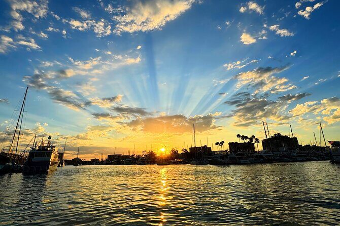 Romantic Luxury Boat Cruise with Wine Cheese Sea LionTours - The Itinerary Breakdown