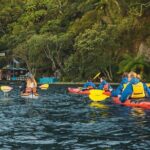 Rotorua: Daytime Scenic Lake Rotoiti Kayak Tour - What to Expect from the Lake Rotoiti Kayak Tour