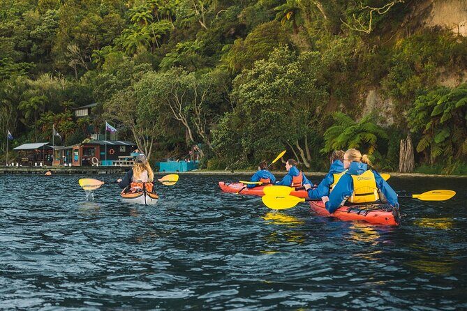 Rotorua: Daytime Scenic Lake Rotoiti Kayak Tour - What to Expect from the Lake Rotoiti Kayak Tour