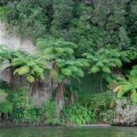 Rotorua: Evening Big Kanu Starlight Tour - What to Expect During the Experience