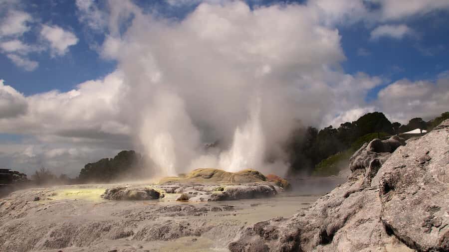 Rotorua: Glowworm Cave, Redwoods Forest & Te Puia Tour - What Do the Reviews Say?
