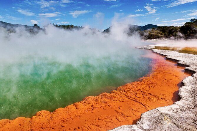 Rotorua Private Tour from Tauranga (up to 11 people) - A Closer Look at the Rotorua Private Tour