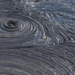 Rotorua Small-Group Day Tour from Auckland - The Value and What You’re Paying For