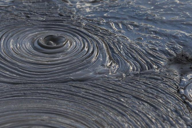 Rotorua Small-Group Day Tour from Auckland - The Value and What You’re Paying For