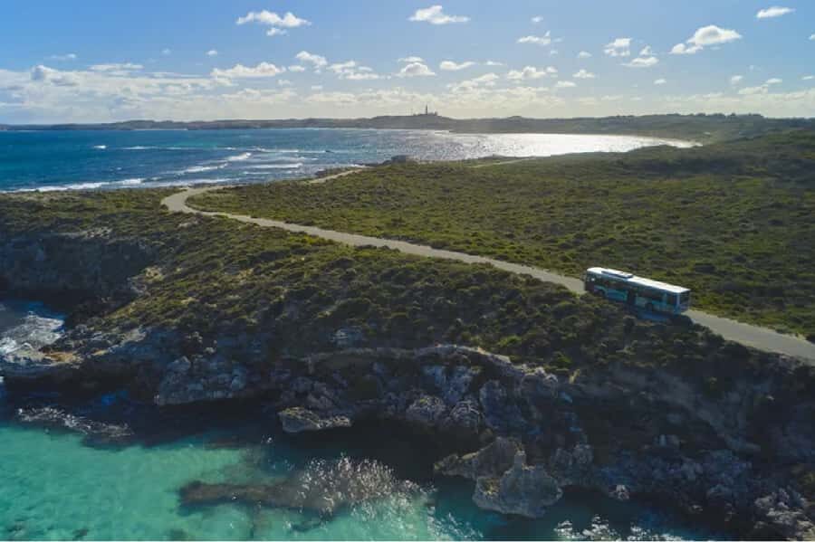 Rottnest Island 1.75 Hour Bayseeker Island Tour - The Experience and Group Dynamics