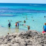 Rottnest Island Roundtrip Fast Ferry from Hillarys Boat Harbour - Who Should Consider This Experience?