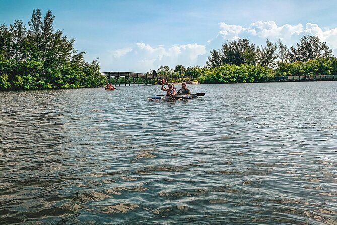 Round Island 2-Hour Glass Bottom Guided Kayak Eco Tour - Authentic Insights from Reviews