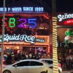 Round Trip Private Trip Los Cabos Airport to Cabo San Lucas - Who Will Love This Service