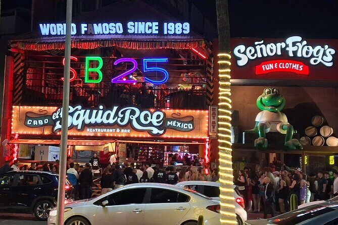 Round Trip Private Trip Los Cabos Airport to Cabo San Lucas - Who Will Love This Service