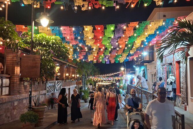 Round Trip Private Trip Los Cabos-San Jose Cabo Airport - What the Service Includes and Excludes