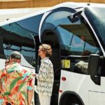 Roundtrip/Oneway Transfer: Orlando Intl Airport to Disney Hotels - The Experience of the Transfer Service