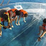 Route of Adventure: Punta Sur Park and Clear Boat Cozumel - Practical Details and Value