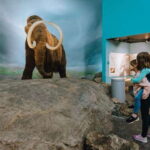Royal B.C. Museum in Victoria: Full-Day Admission Ticket - Practical Details and Tips