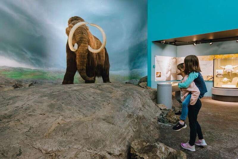 Royal B.C. Museum in Victoria: Full-Day Admission Ticket - Practical Details and Tips