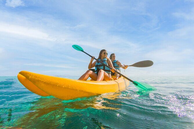 Royal Garragon with Dolphin Encounter in Isla Mujeres - What the Reviews Say