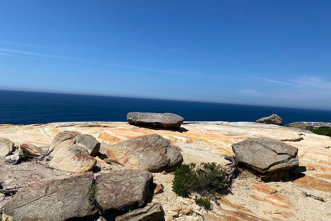Royal National Park Wilderness Half-Day from Sydney with Picnic - Practical Considerations and What Travelers Say