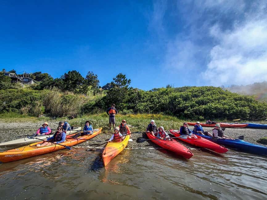 Russian River: Kayak Tour - Who Will Love This Tour?