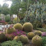 Ruth Bancroft Garden General Admission Ticket - FAQ
