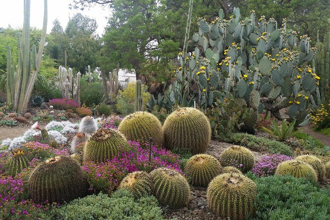 Ruth Bancroft Garden General Admission Ticket - FAQ