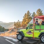 Rutting Around Elk Viewing Tour - Is It Worth the Price?