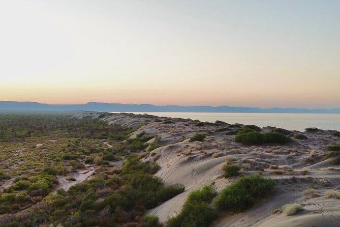 RZR Tour of Mogote Dunes and Sandboarding - Who Is This Tour Best For?