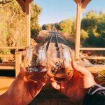 Sacramento: Old Vine Express Train Ride with Wine Tasting - The Wine Tasting: A Highlight for Connoisseurs and Novices