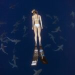 Safe and Educational Shark Dive from Haleiwa: Sharks Guaranteed - The Sum Up