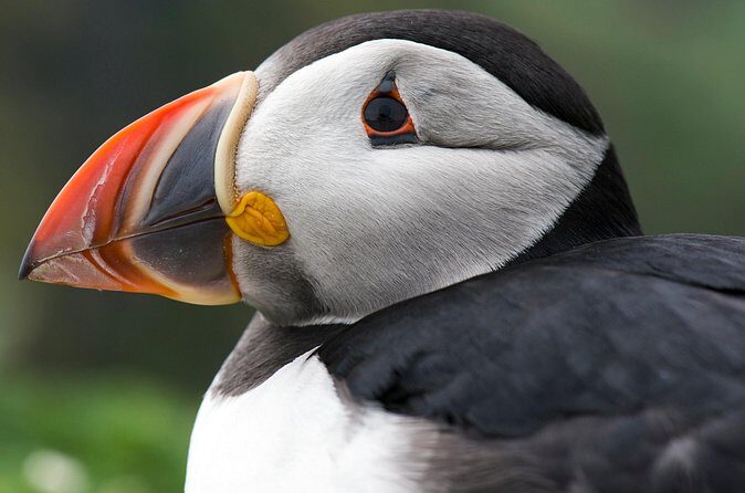 Safe Ride for Travellers to Edmonton - Why Choose This Ride Service?