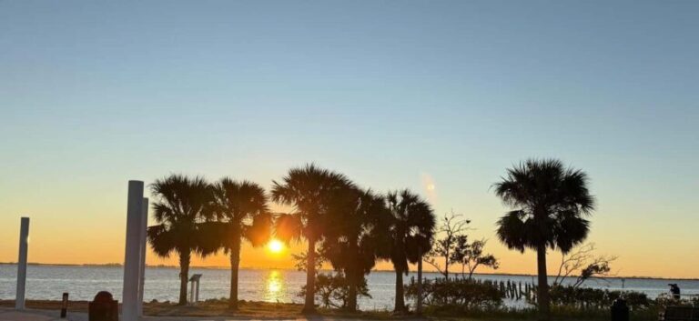 Safety Harbor: Food and Drink Tour with a Local Guide - The Food Stops: What You’ll Likely Encounter