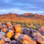 Saguaro National Park Self-Guided Audio Tour - The Itinerary Breakdown