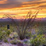 Saguaro NP and Mt. Lemmon Self Guided Driving Audio Tour Bundle - Final Thoughts