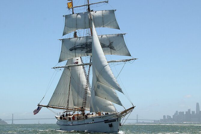 Sail San Francisco Bay on the Historic Brigantine Matthew Turner - Practical Details and Considerations