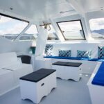 Sail, Seals, and Walk Tour in Abel Tasman - What to Expect from the Itinerary