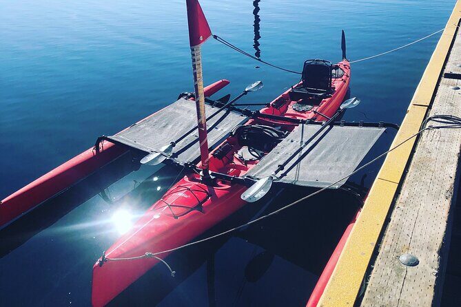 Sailing Alaska's Inside Passage 4 Day Private Tour - What To Expect From the Itinerary