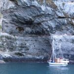 Sailing and Wildlife Tour Akaroa Fox II Sailing - Who Will Love This Tour?