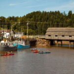 Saint John: Guided Kayaking Tour of St. Martins Sea Caves - The Sea Caves and Coastal Highlights
