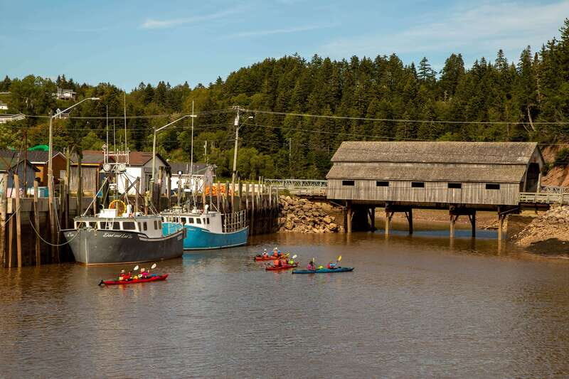 Saint John: Guided Kayaking Tour of St. Martins Sea Caves - The Sea Caves and Coastal Highlights