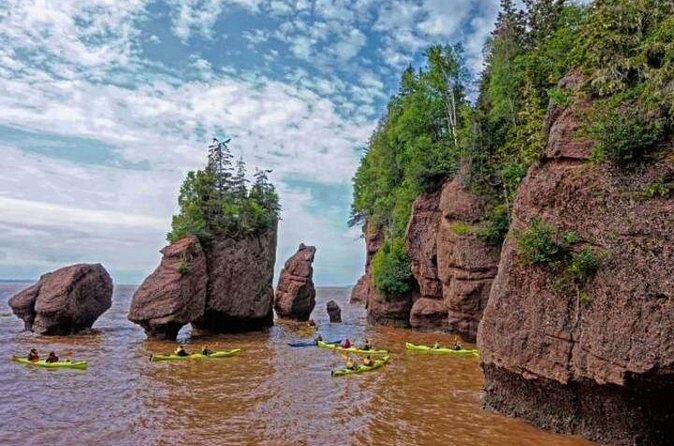 Saint John (NB) Bay of Fundy and Hopewell Rocks Private Tour - What Travelers Say