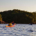 Saint John River: River Relics Kayak Tour - The Itinerary: What Will You See and Do?