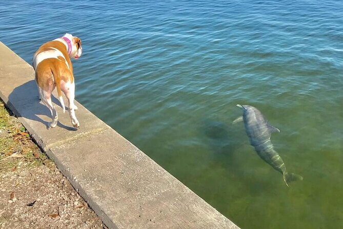 Saint Petersburg Historic Segway Tour - What Sets This Tour Apart
