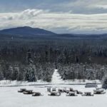 Sainte-Apolline-de-Patton: Guided Wolf Sanctuary Tour - FAQs