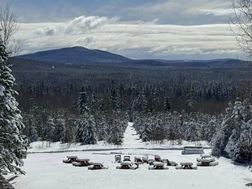Sainte-Apolline-de-Patton: Guided Wolf Sanctuary Tour - FAQs