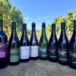 Salinas Valley, CA: Wine tasting experience - What Makes It Stand Out?