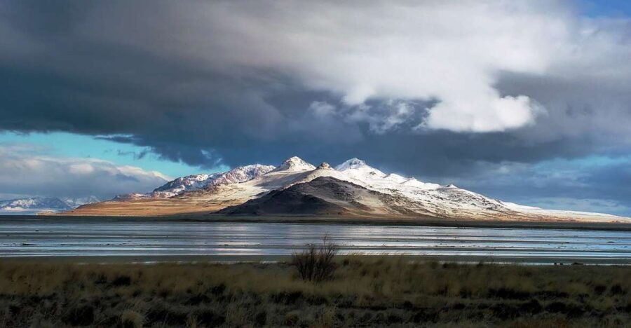 Salt Lake City: Great Salt Lake Antelope Island Guided Tour - Who Is This Tour Best For?