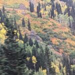 Salt Lake City's Top Guided Hiking Tour with Charcuterie board - The Experience in Detail