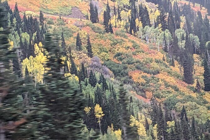 Salt Lake City's Top Guided Hiking Tour with Charcuterie board - The Experience in Detail