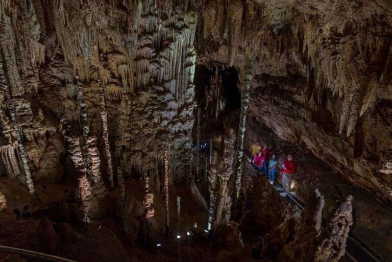 San Antonio: Discovery Tour at Natural Bridge Caverns - What to Expect on the Tour